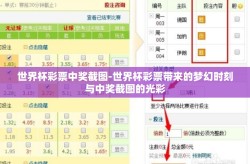 世界杯彩票中奖截图-世界杯彩票带来的梦幻时刻与中奖截图的光彩