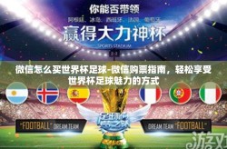 微信怎么买世界杯足球-微信购票指南，轻松享受世界杯足球魅力的方式