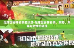 足球世界杯彩票的玩法-足球世界杯彩票，策略、乐趣与激情的碰撞