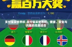 支付宝买世界杯-支付宝买世界杯，便捷、安全与兴趣的完美结合