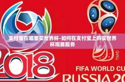 支付宝在哪里买世界杯-如何在支付宝上购买世界杯观赛服务