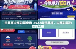 世界杯中奖彩票查询-2022年世界杯，中奖彩票的查询之道