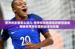 世界杯彩票怎么玩儿-世界杯狂热背后的智慧游戏，揭秘世界杯彩票的玩法与乐趣
