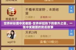 世界杯彩票中奖截图-世界杯狂热下的意外之喜，一张中奖截图的前后故事