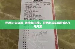 世界杯竞彩票-激情与挑战，世界杯竞彩票的魅力与风潮