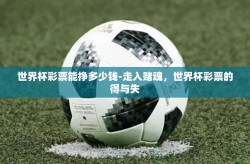 世界杯彩票能挣多少钱-走入赌魂，世界杯彩票的得与失