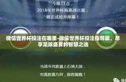 微信世界杯投注在哪里-微信世界杯投注指导篇，尽享足球盛宴的智慧之选