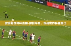 微信看世界杯直播-微信平台，观战世界杯新窗口
