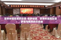 世界杯猜冠军的彩票-筑梦绿茵，世界杯猜胜彩票，梦想与概率的交响曲