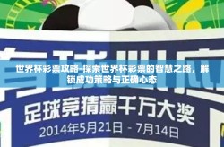 世界杯彩票攻略-探索世界杯彩票的智慧之路，解锁成功策略与正确心态