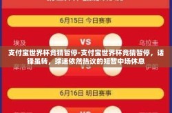 支付宝世界杯竞猜暂停-支付宝世界杯竞猜暂停，话锋虽转，球迷依然热议的短暂中场休息