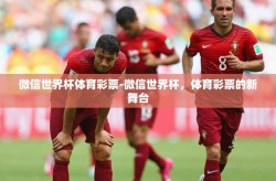 微信世界杯体育彩票-微信世界杯，体育彩票的新舞台