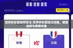 世界杯彩票如何投注-世界杯彩票投注攻略，明智选择与策略并重