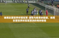 体育彩票世界杯猜冠军-激情与概率的碰撞，体育彩票世界杯冠军预测的奇妙旅程