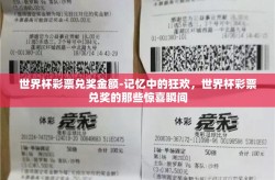 世界杯彩票兑奖金额-记忆中的狂欢，世界杯彩票兑奖的那些惊喜瞬间