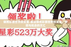 体育彩票世界杯奖金-解读体育彩票世界杯奖金，梦想与机会的交汇