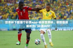世界杯下载哪个彩票app-畅享世界杯，明智选择，解析热门彩票APP