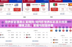 世界杯彩票怎么买赚钱-如何在世界杯彩票中找到赚钱之匙，策略与智慧并重