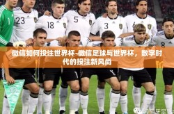 微信如何投注世界杯-微信足球与世界杯，数字时代的投注新风尚