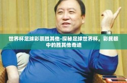 世界杯足球彩票胜其他-探秘足球世界杯，彩民眼中的胜其他奇迹