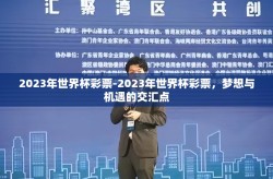 2023年世界杯彩票-2023年世界杯彩票，梦想与机遇的交汇点