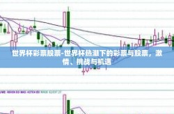 世界杯彩票股票-世界杯热潮下的彩票与股票，激情、挑战与机遇