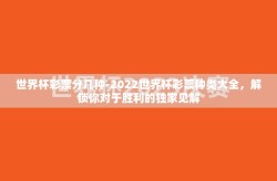 世界杯彩票分几种-2022世界杯彩票种类大全，解锁你对于胜利的独家见解