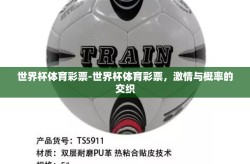 世界杯体育彩票-世界杯体育彩票，激情与概率的交织
