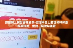 微信网上买世界杯彩票-微信平台上的世界杯彩票购买指南，便捷、风险与监管