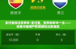 支付宝投注世界杯-支付宝，世界的杯中一注——探索中国用户的足球投注新潮流