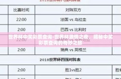 世界杯中奖彩票查询-世界杯激情之夜，揭秘中奖彩票查询的奇妙之旅