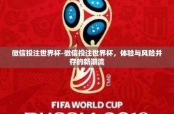 微信投注世界杯-微信投注世界杯，体验与风险并存的新潮流
