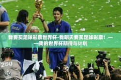 我要买足球彩票世界杯-我明天要买足球彩票！——我的世界杯期待与计划