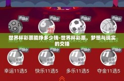世界杯彩票能挣多少钱-世界杯彩票，梦想与现实的交锋