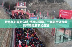 世界杯彩票怎么吗-世界杯彩票，一场融合体育激情与幸运的梦幻盛宴
