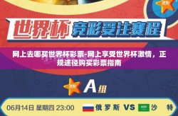 网上去哪买世界杯彩票-网上享受世界杯激情，正规途径购买彩票指南