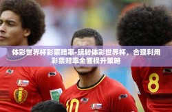体彩世界杯彩票赔率-玩转体彩世界杯，合理利用彩票赔率全面提升策略