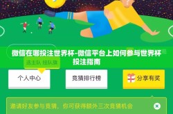 微信在哪投注世界杯-微信平台上如何参与世界杯投注指南