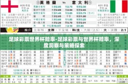 足球彩票世界杯赔率-足球彩票与世界杯赔率，深度洞察与策略探索