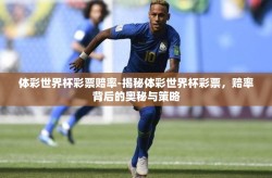 体彩世界杯彩票赔率-揭秘体彩世界杯彩票，赔率背后的奥秘与策略