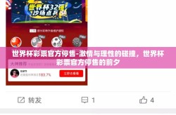 世界杯彩票官方停售-激情与理性的碰撞，世界杯彩票官方停售的前夕