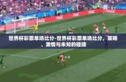 世界杯彩票单场比分-世界杯彩票单场比分，策略、激情与未知的碰撞