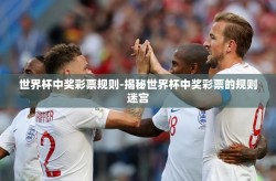 世界杯中奖彩票规则-揭秘世界杯中奖彩票的规则迷宫