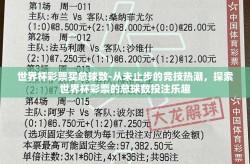 世界杯彩票买总球数-从未止步的竞技热潮，探索世界杯彩票的总球数投注乐趣
