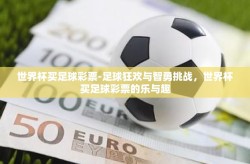 世界杯买足球彩票-足球狂欢与智勇挑战，世界杯买足球彩票的乐与趣