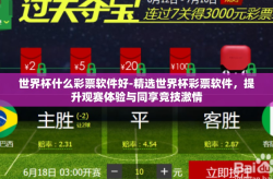 世界杯什么彩票软件好-精选世界杯彩票软件，提升观赛体验与同享竞技激情