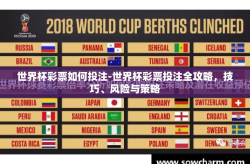 世界杯彩票如何投注-世界杯彩票投注全攻略，技巧、风险与策略