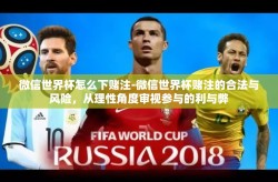微信世界杯怎么下赌注-微信世界杯赌注的合法与风险，从理性角度审视参与的利与弊