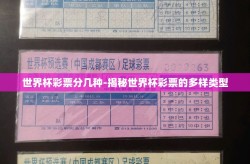 世界杯彩票分几种-揭秘世界杯彩票的多样类型
