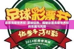 彩票竞猜世界杯-足球狂热，揭秘彩票竞猜世界杯的乐趣与风险